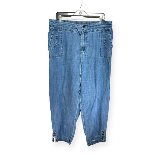Jeans Wide Leg By Soft Surroundings  Size: Xl